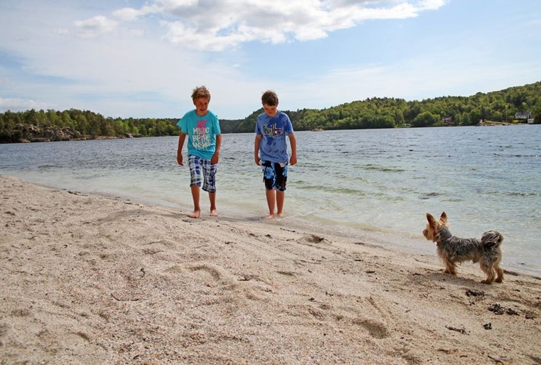 To personer med hund går i vannkanten på sandtrand